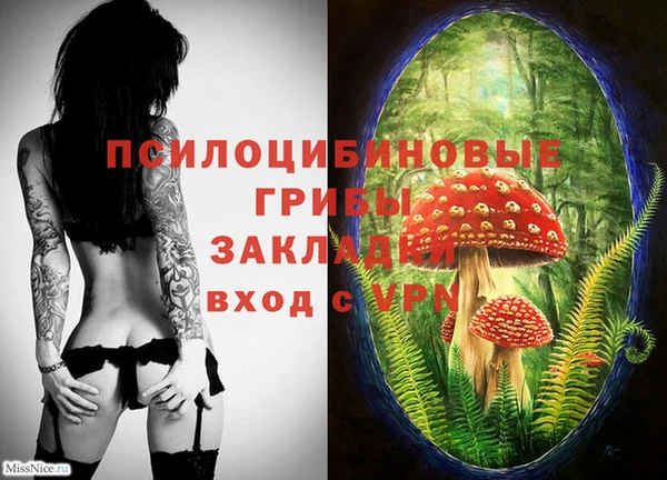 твердый Гусиноозёрск
