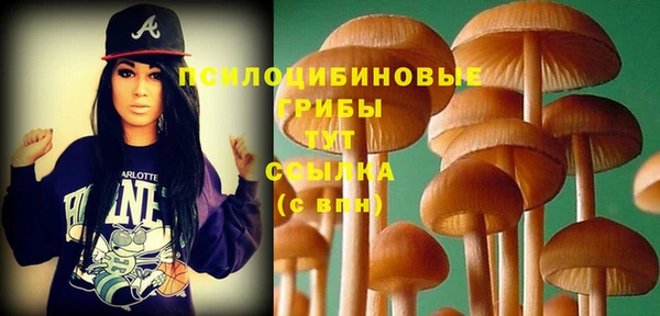 спайс Горнозаводск